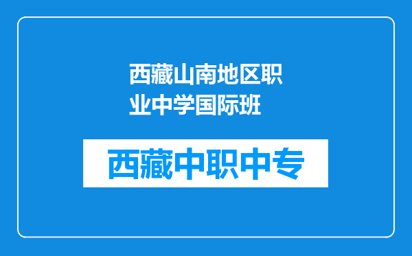 西藏山南地区职业中学国际班