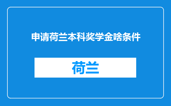 申请荷兰本科奖学金啥条件