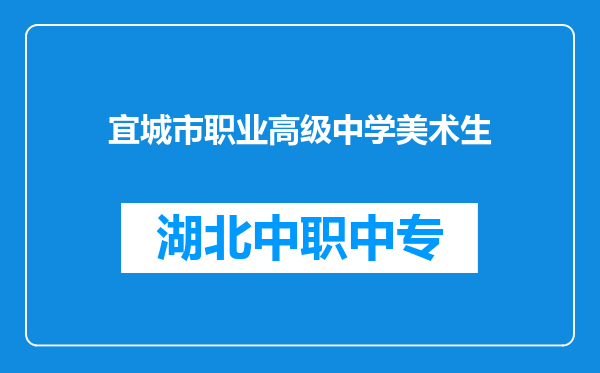 宜城市职业高级中学美术生
