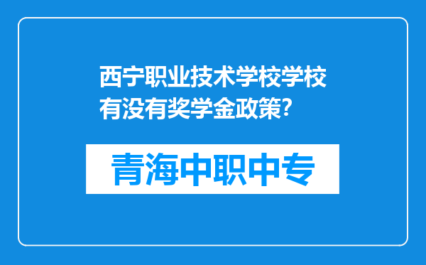 西宁职业技术学校学校有没有奖学金政策？