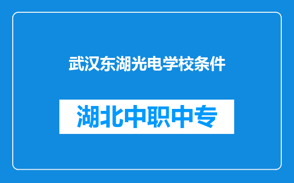 武汉东湖光电学校条件
