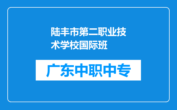 陆丰市第二职业技术学校国际班