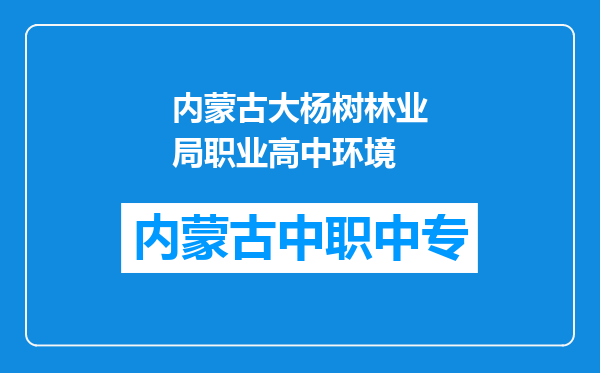 内蒙古大杨树林业局职业高中环境