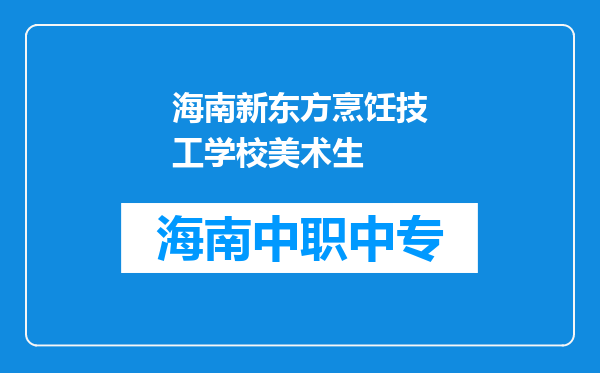 海南新东方烹饪技工学校美术生