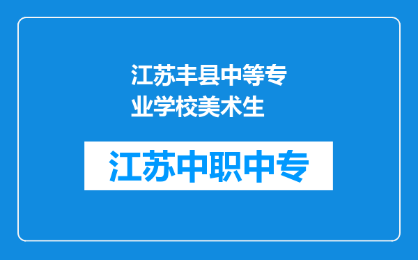 江苏丰县中等专业学校美术生