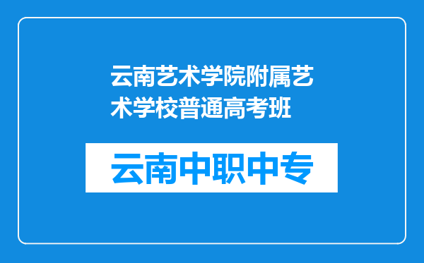 云南艺术学院附属艺术学校普通高考班