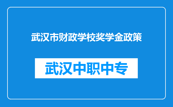 武汉市财政学校奖学金政策