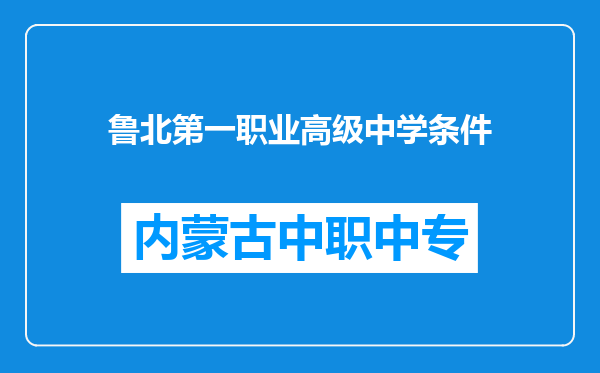 鲁北第一职业高级中学条件