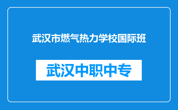 武汉市燃气热力学校国际班