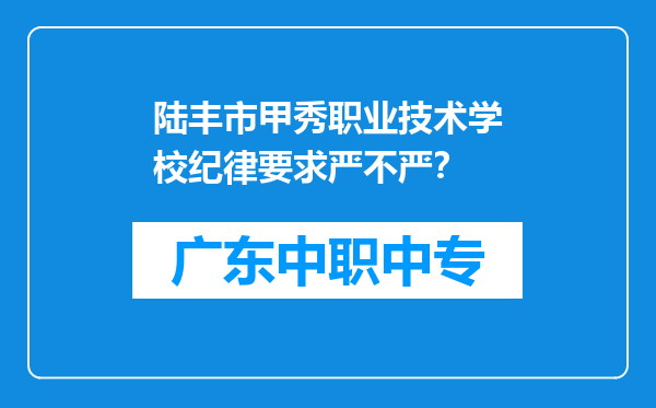 陆丰市甲秀职业技术学校纪律要求严不严？