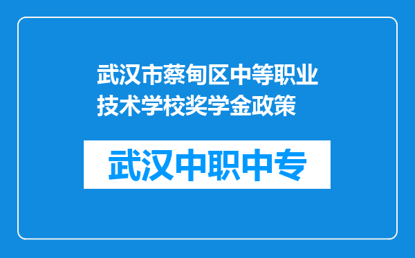 武汉市蔡甸区中等职业技术学校奖学金政策