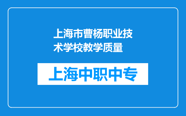 上海市曹杨职业技术学校教学质量