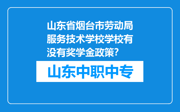 山东省烟台市劳动局服务技术学校学校有没有奖学金政策？