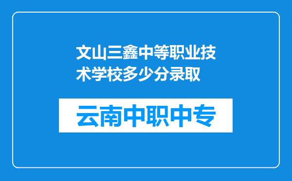 文山三鑫中等职业技术学校多少分录取
