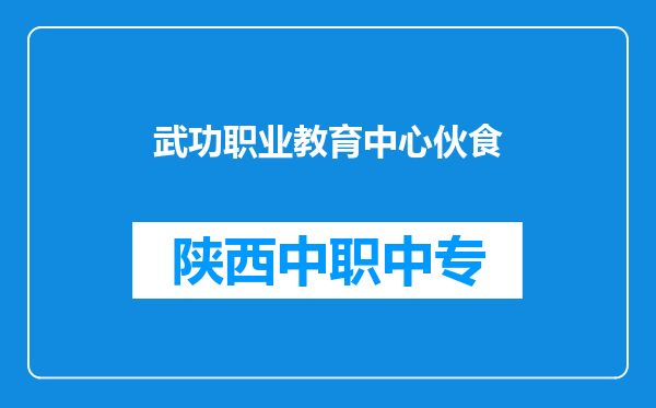 武功职业教育中心伙食