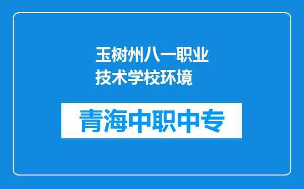 玉树州八一职业技术学校环境