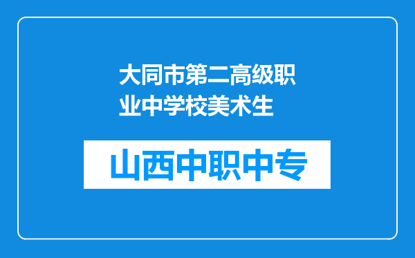 大同市第二高级职业中学校美术生
