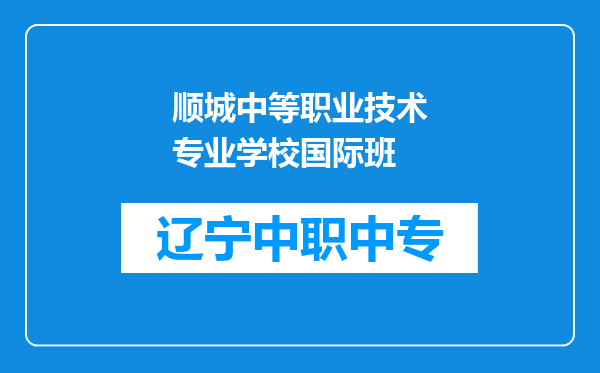 顺城中等职业技术专业学校国际班