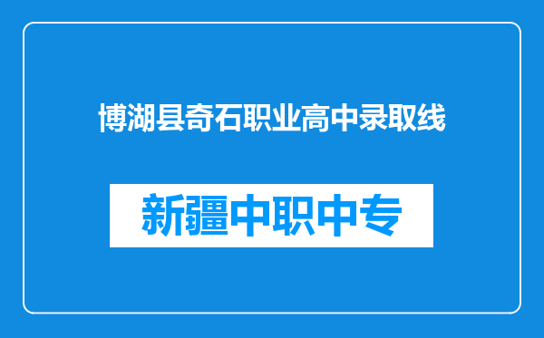 博湖县奇石职业高中录取线