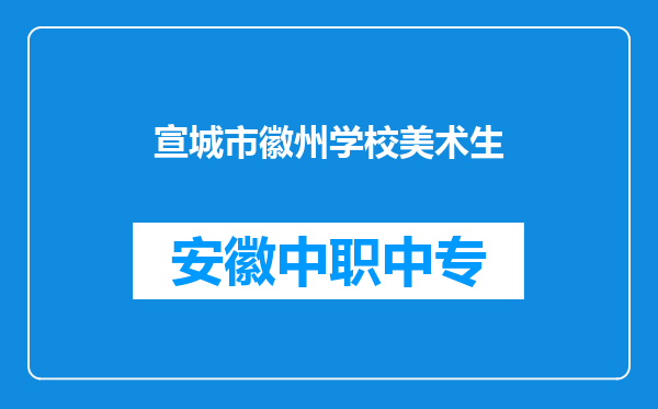 宣城市徽州学校美术生