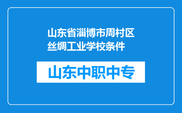 山东省淄博市周村区丝绸工业学校条件