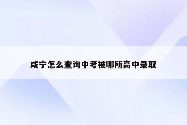 咸宁怎么查询中考被哪所高中录取