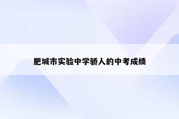 肥城市实验中学骄人的中考成绩
