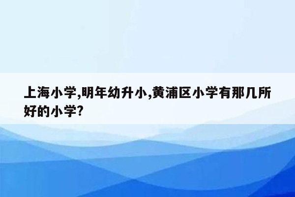 上海小学,明年幼升小,黄浦区小学有那几所好的小学?