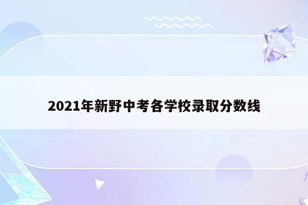 2021年新野中考各学校录取分数线