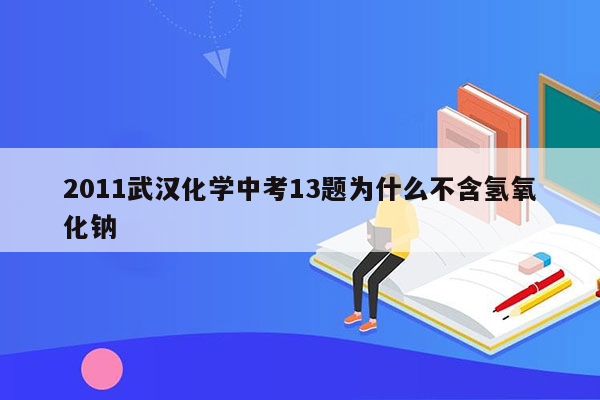 2011武汉化学中考13题为什么不含氢氧化钠