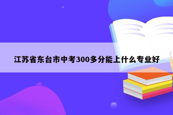 江苏省东台市中考300多分能上什么专业好