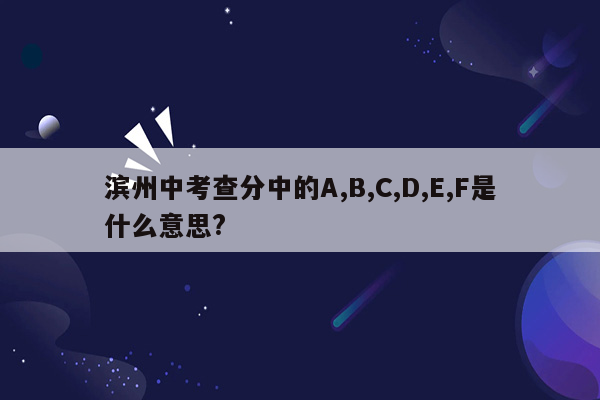 滨州中考查分中的A,B,C,D,E,F是什么意思?