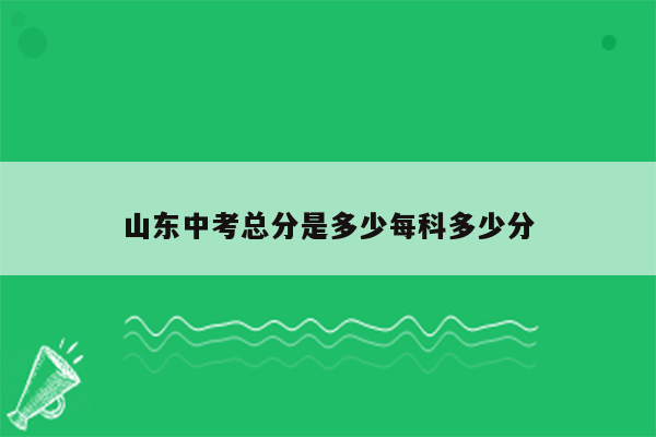 山东中考总分是多少每科多少分