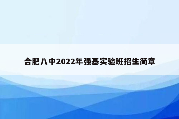 合肥八中2022年强基实验班招生简章
