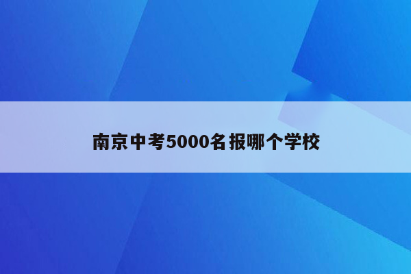 南京中考5000名报哪个学校