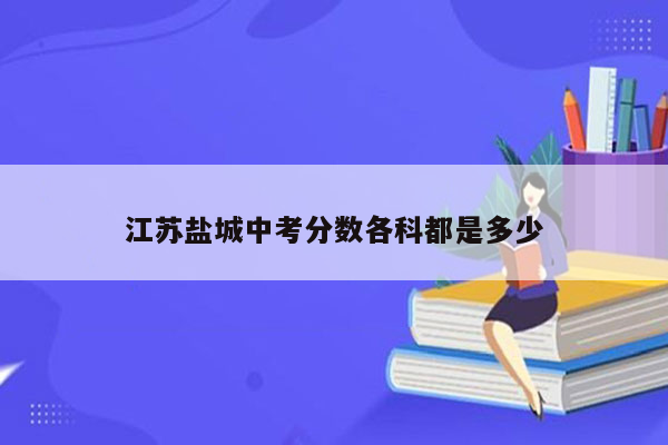 江苏盐城中考分数各科都是多少