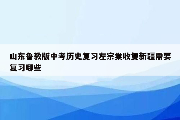 山东鲁教版中考历史复习左宗棠收复新疆需要复习哪些