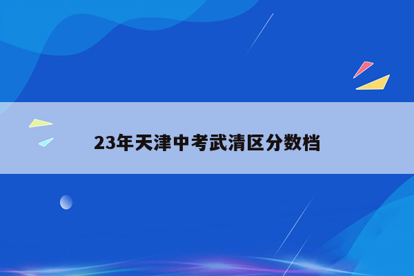 23年天津中考武清区分数档