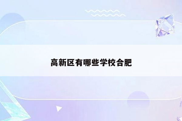 高新区有哪些学校合肥