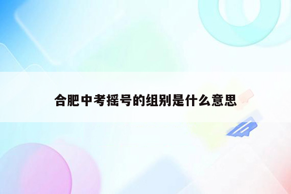 合肥中考摇号的组别是什么意思
