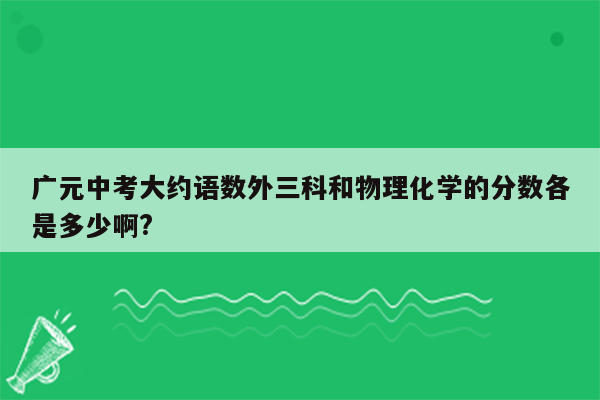 广元中考大约语数外三科和物理化学的分数各是多少啊?