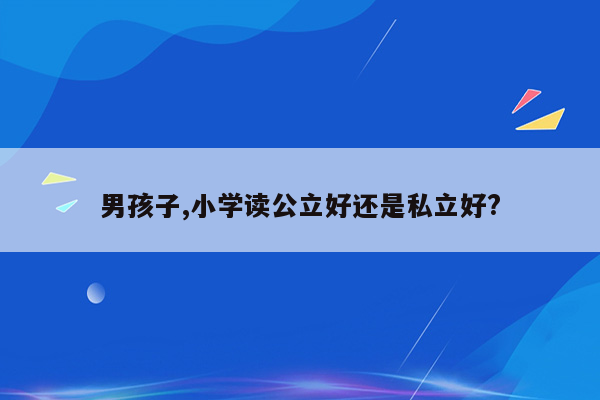 男孩子,小学读公立好还是私立好?