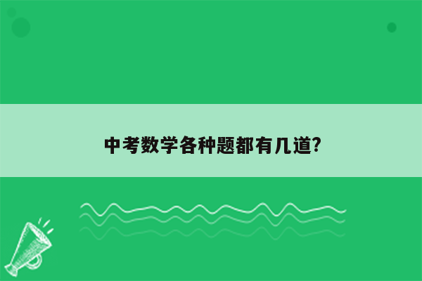 中考数学各种题都有几道?