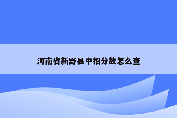 河南省新野县中招分数怎么查