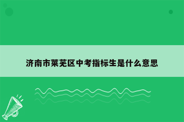 济南市莱芜区中考指标生是什么意思