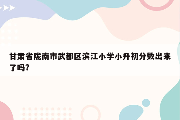 甘肃省陇南市武都区滨江小学小升初分数出来了吗?