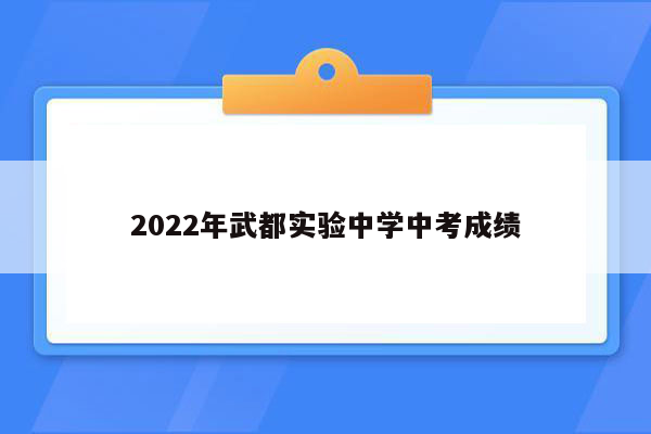 2022年武都实验中学中考成绩