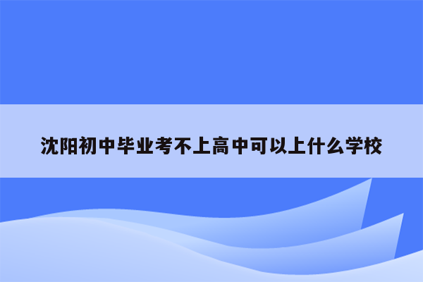 沈阳初中毕业考不上高中可以上什么学校
