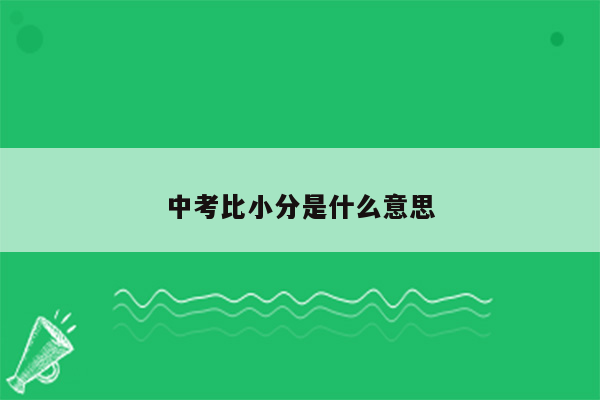 中考比小分是什么意思