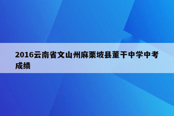 2016云南省文山州麻栗坡县董干中学中考成绩